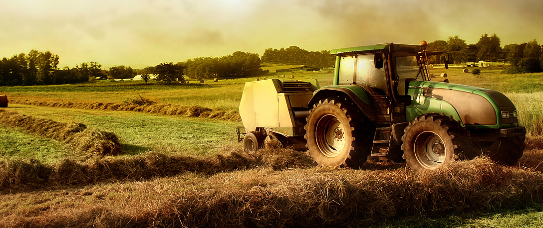 AGGRAND Natural Fertilizer